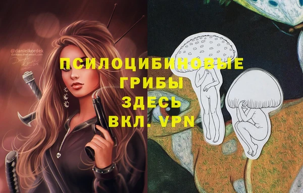 не бодяженный Абдулино