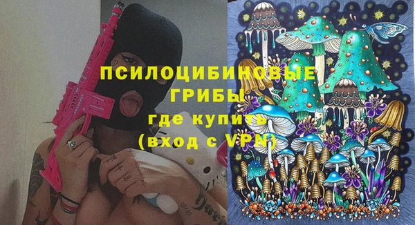 PSILOCYBIN Надым