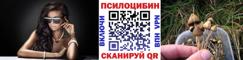 KRAKEN маркетплейс  Воронеж  Галлюциногенные грибы мицелий  сколько стоит 